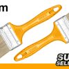 Professional Paint Brush